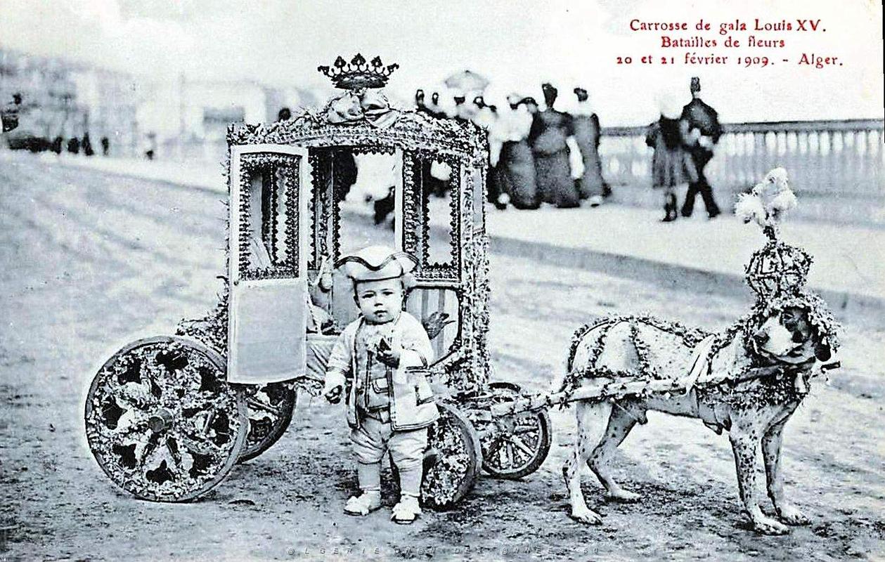 ALGER - BATAILLE DE FLEURS - CARROSSE DE GALA LOUIS XV - FEVRIER 1910.jpg